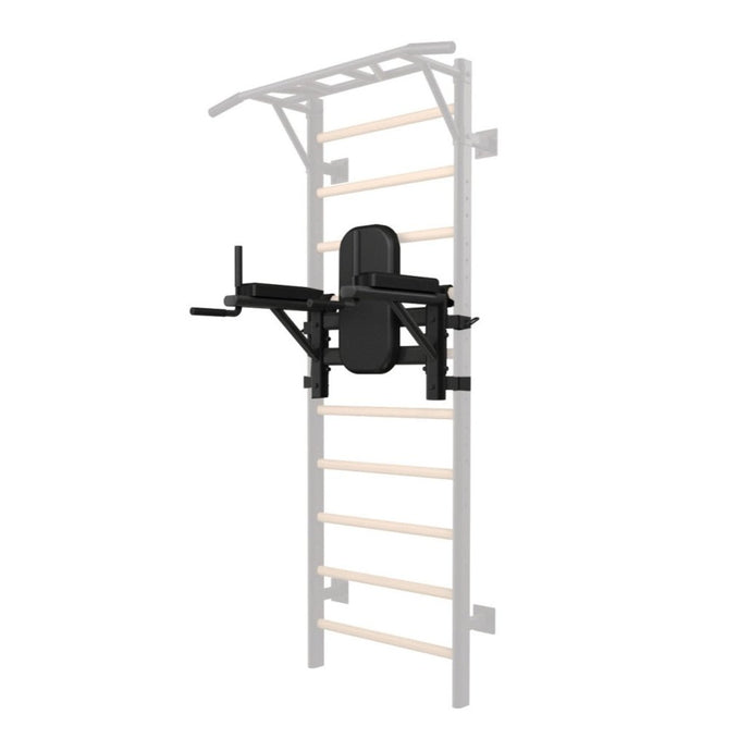 Dip Station per Spalliera LDX-3000 Toorx